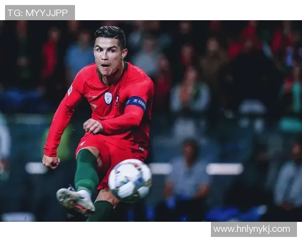 怀特足球明星有哪些值得关注的球员及其成就解析