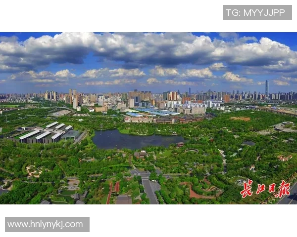 武汉排球队的蜕变之旅联合会杯特别报道展现新风貌与挑战