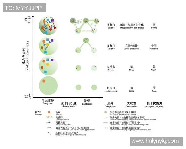 足球明星选项的多样性与影响力探讨及其在全球体育文化中的地位 足球明星选项的多样性与影响力探讨及其在全球体育文化中的地位