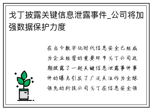 戈丁披露关键信息泄露事件_公司将加强数据保护力度