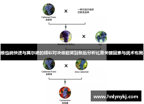 维也纳快速与莫尔德的精彩对决谁能笑到最后分析比赛关键因素与战术布局